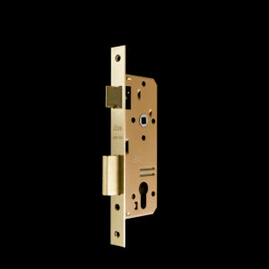 ISEO Wooden Door Lock