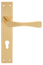 Door Handle 049-14P GP