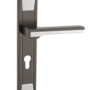 Door Handle 066-22P Titanium/CP