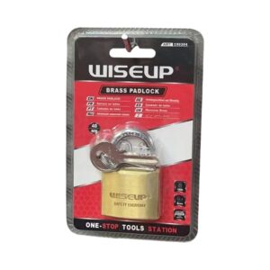 Padlock Brass Wiseup
