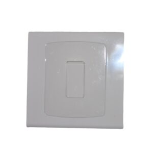 Switch 1 Button